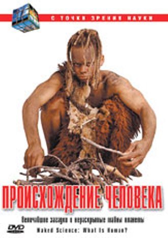 Скачать 